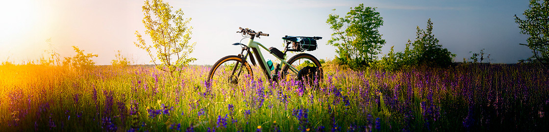 Foto de bicicleta en medio de un campo lleno de pasto y flores moradas primaverales.