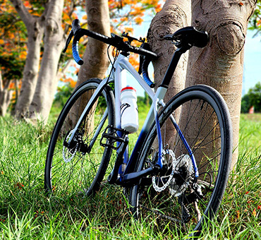 Foto de una bicicleta apoyada en un árbol al lado del camino, en un parque.