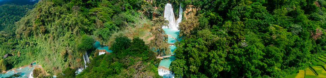 Foto de un río en la Huasteca con múltiples cascadas, rodeado de vegetación.