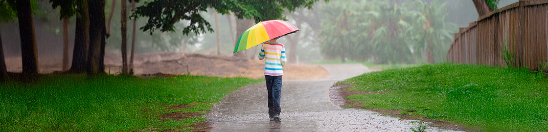 Foto de un niño caminando en un parque bajo la lluvia, protegido por su paraguas.